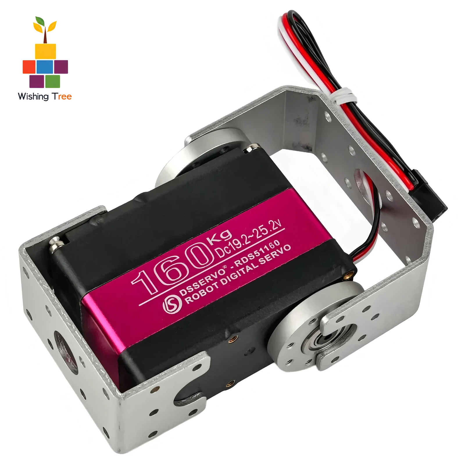 RDS51160 Dijital Servo 24V 160 - Servo Bracket incelemesi ve fiyatı